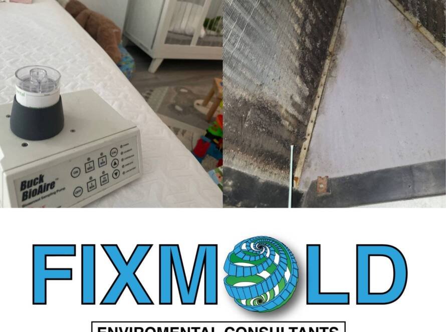 mold testing Miami