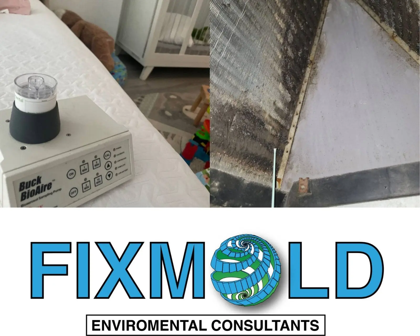 mold testing Miami