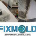 High Humidity & Residential Mold Issues in Miami Homes