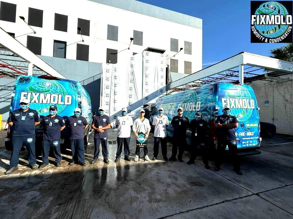 MIAMI, FL — FixMold Miami, led by industry expert Mr. Katz, has officially expanded its professional mold inspection and toxic mold removal services to South Florida. Building on decades of experience in mold remediation, FixMold Miami is addressing the growing concerns surrounding mold growth caused by flooding, high humidity, and storm-related water damage common throughout the Miami area.
With Miami’s warm climate, frequent storms, and elevated moisture levels, mold outbreaks have become a serious and ongoing health concern for homeowners, property managers, and businesses alike. Mold spores spread rapidly through the air, impacting indoor air quality and posing risks to individuals with allergies, asthma, or compromised immune systems.
Mr. Katz, who previously directed one of New York’s most established mold remediation companies, continues his commitment to public health and safety through FixMold Miami.
“Based on years of experience responding to large-scale water damage and flood events, we understand how quickly mold can spread in dense, humid environments,” said Mr. Katz. “In Miami, the conditions are ideal for mold growth year-round. That’s why we’ve enhanced our inspection, remediation, and prevention protocols to meet the specific challenges of South Florida.”
FixMold Miami specializes in:
Professional mold inspections and testing
Toxic mold identification and removal
Post-flood and storm mold remediation
Advanced containment and air filtration
Long-term mold prevention solutions
All services are performed using industry-leading safety standards to protect both technicians and clients. Due to the persistent nature of mold spores in high-humidity environments, FixMold Miami also offers ongoing support and warranties, recognizing that mold recurrence is a real concern in coastal regions.
“As mold spores remain present in the air, even professionally treated properties may require follow-up,” Mr. Katz added. “Our goal is not just removal, but long-term protection and peace of mind for our clients.”
As South Florida continues to experience heavy rains, flooding, and rising humidity levels, FixMold Miami remains committed to helping residents and businesses maintain healthy, mold-free environments.
For more information about FIXMOLD MIAMI, mold inspections, mold testing, or toxic mold removal services in Miami and surrounding areas, contact FixMold Miami today.
FixMold Miami
Professional Mold Inspection & Remediation
Serving Miami and South Florida
https://fixmold.com/locations/mold-remediation-miami-fl/