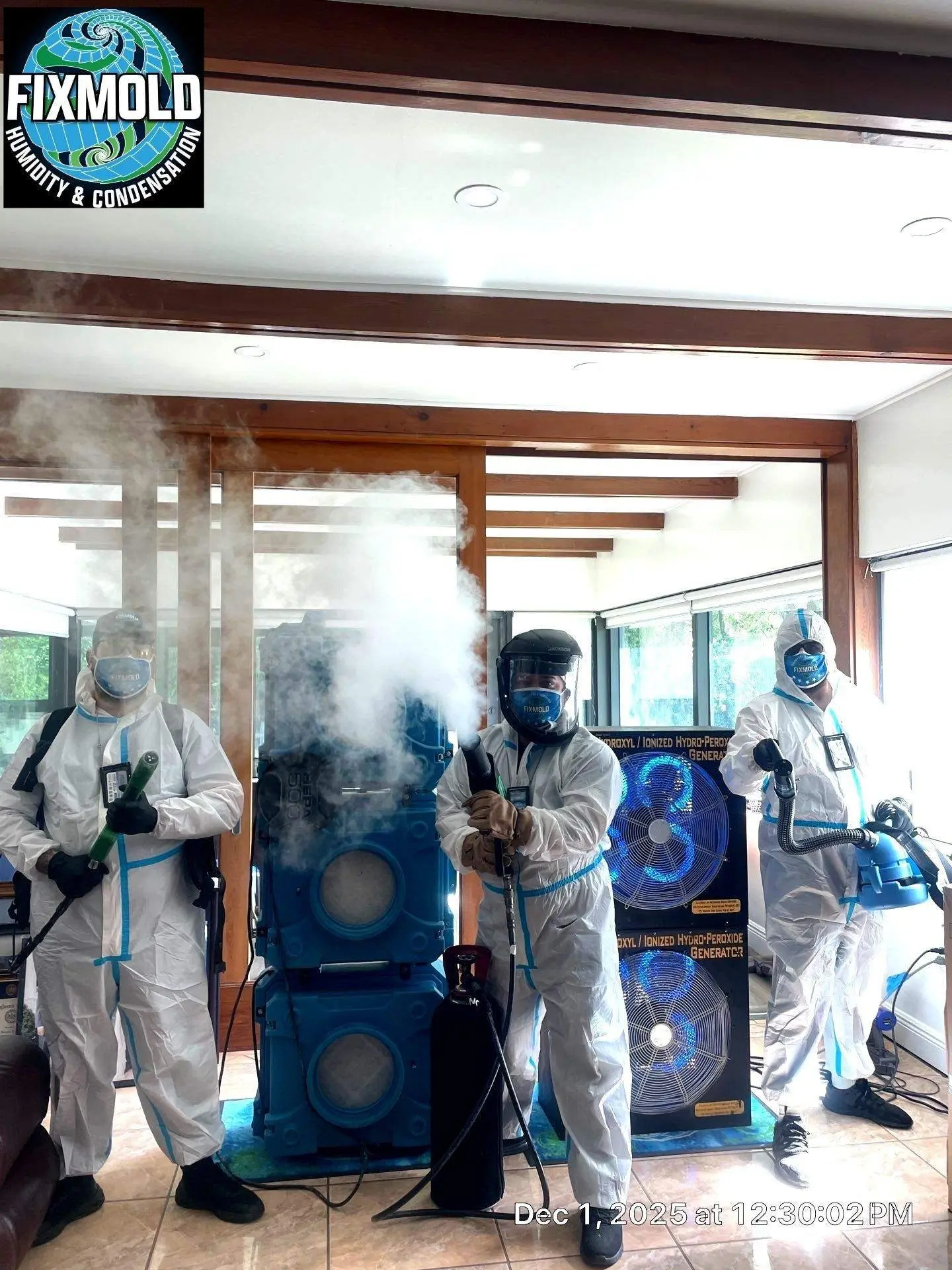 Why Mold Is a Big Issue in Miami