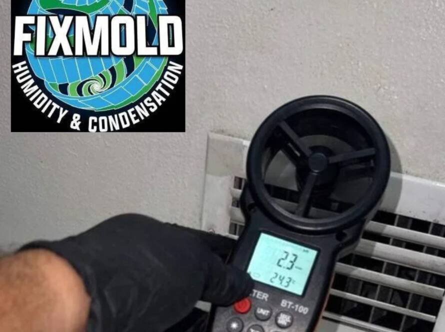 Hidden Mold in Coral Gables Homes