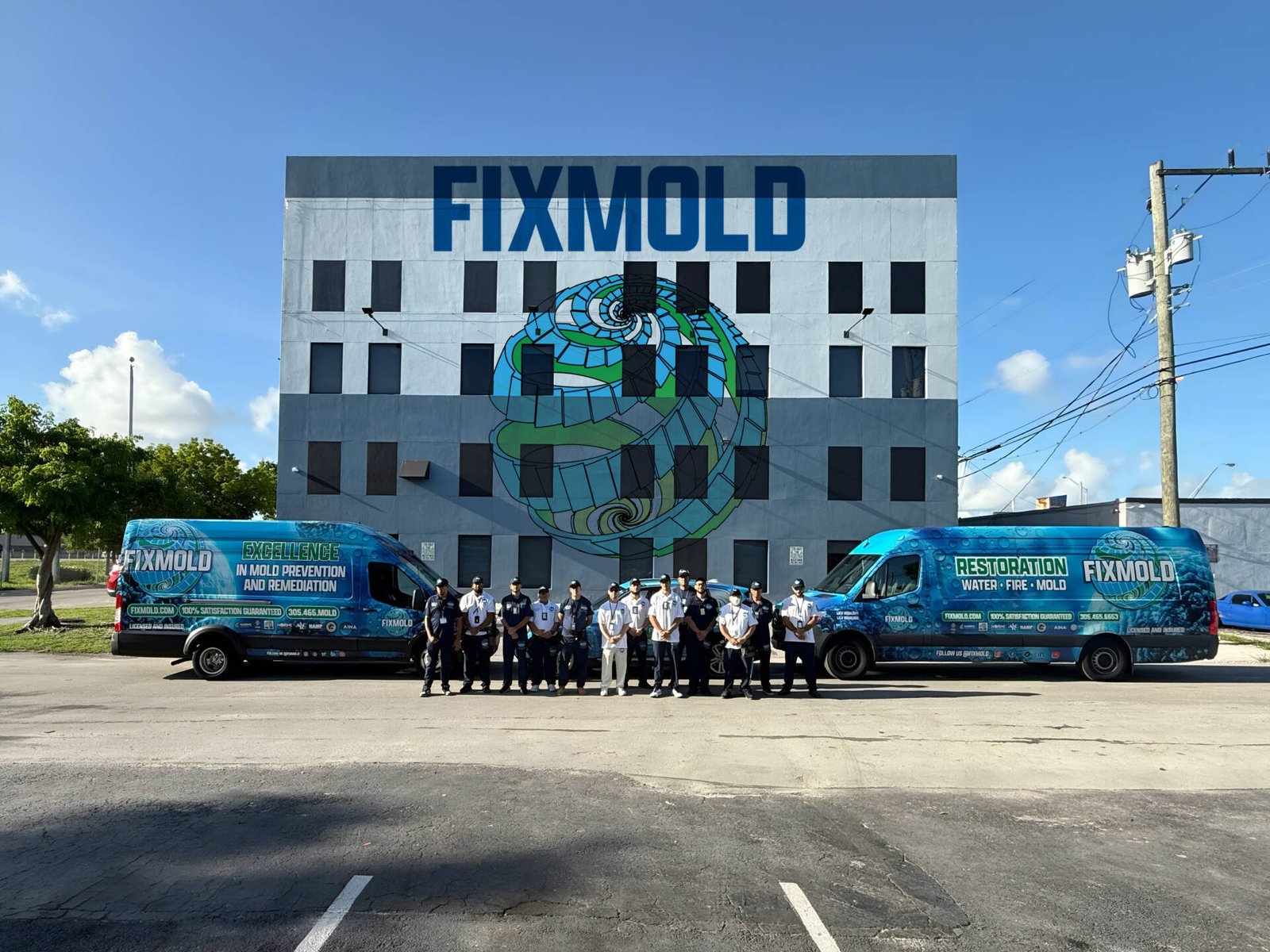 Commercial Mold Remediation Services