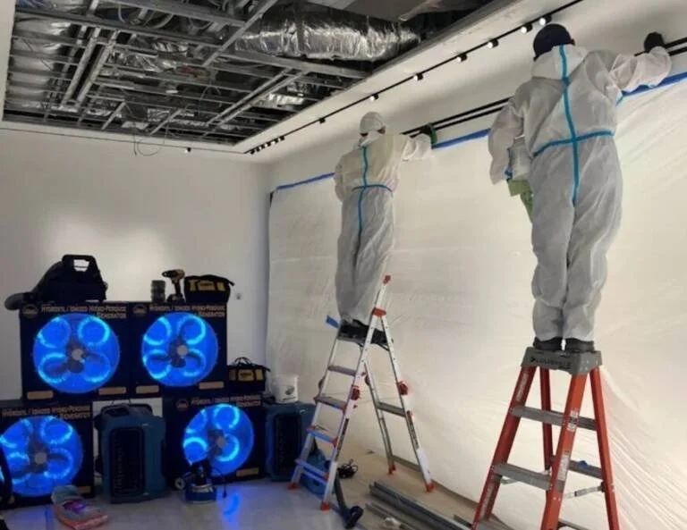 7-1-768x593-geotagged-geotagged