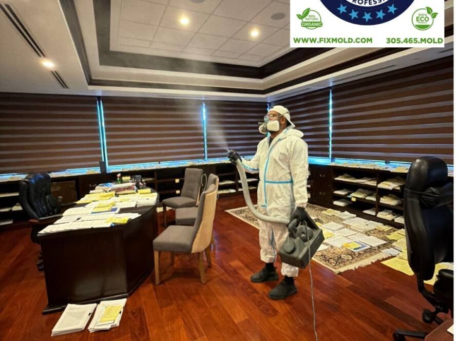 Commercial Mold Remediation Services