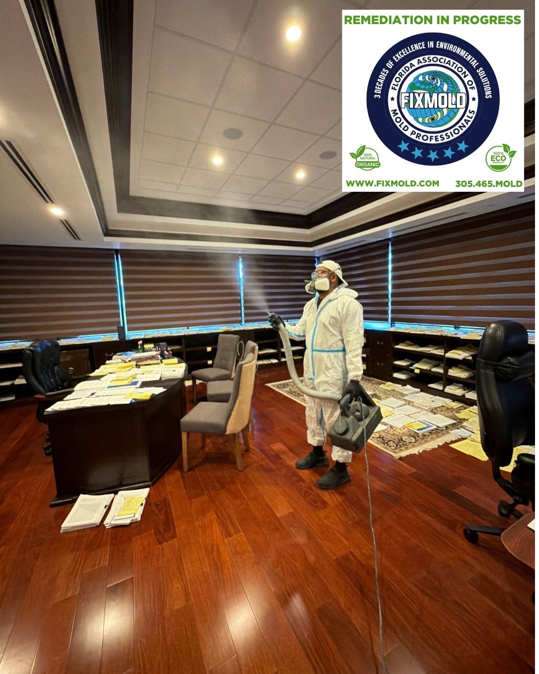 Commercial Mold Remediation Services