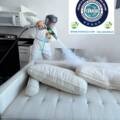 Health Impacts of Mold Exposure: Asthma, Sinus Issues, and Chronic Fatigue