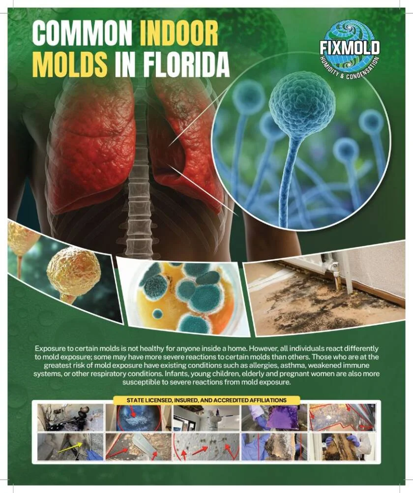 WhatsApp-Image-2026-01-28-at-13.24.55-840x1002