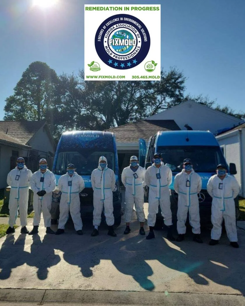 be8fb281-0ba1-4321-a5c3-cb2c83f18273-840x1050