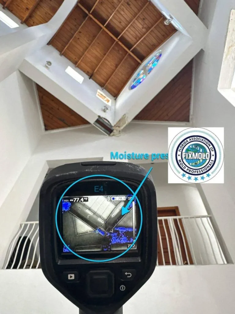 down-net_http20260106-212-tn8xat-840x1120