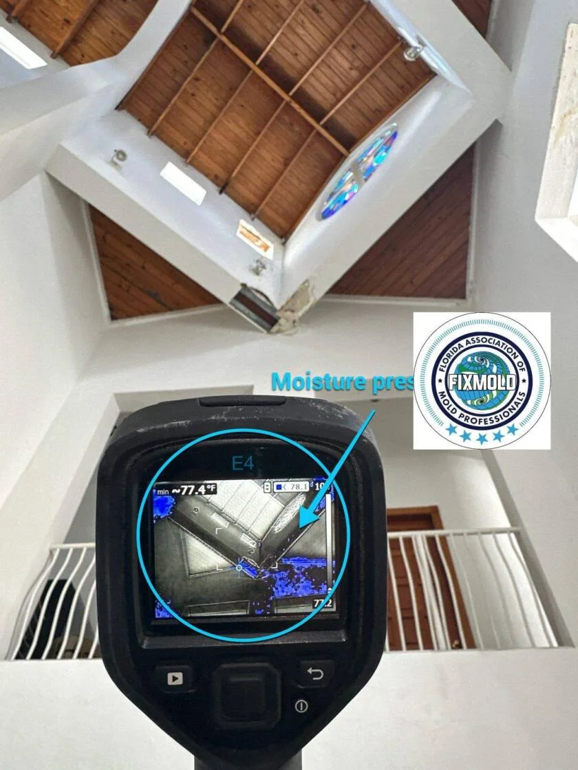 down-net_http20260106-212-tn8xat-840x1120