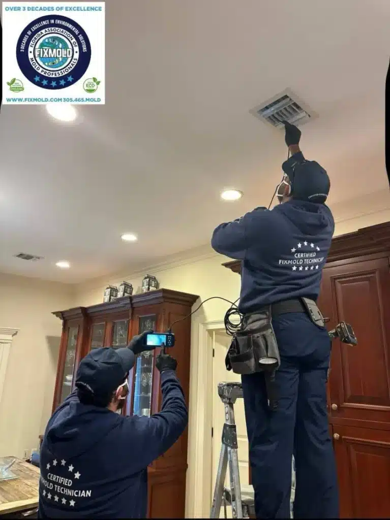 Miami mold inspections