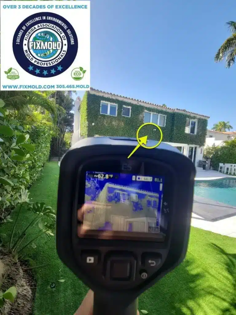 mold inspection miami