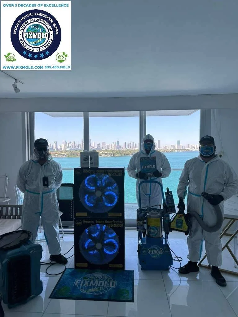 down-net_http20260120-270-iseo3v (1)