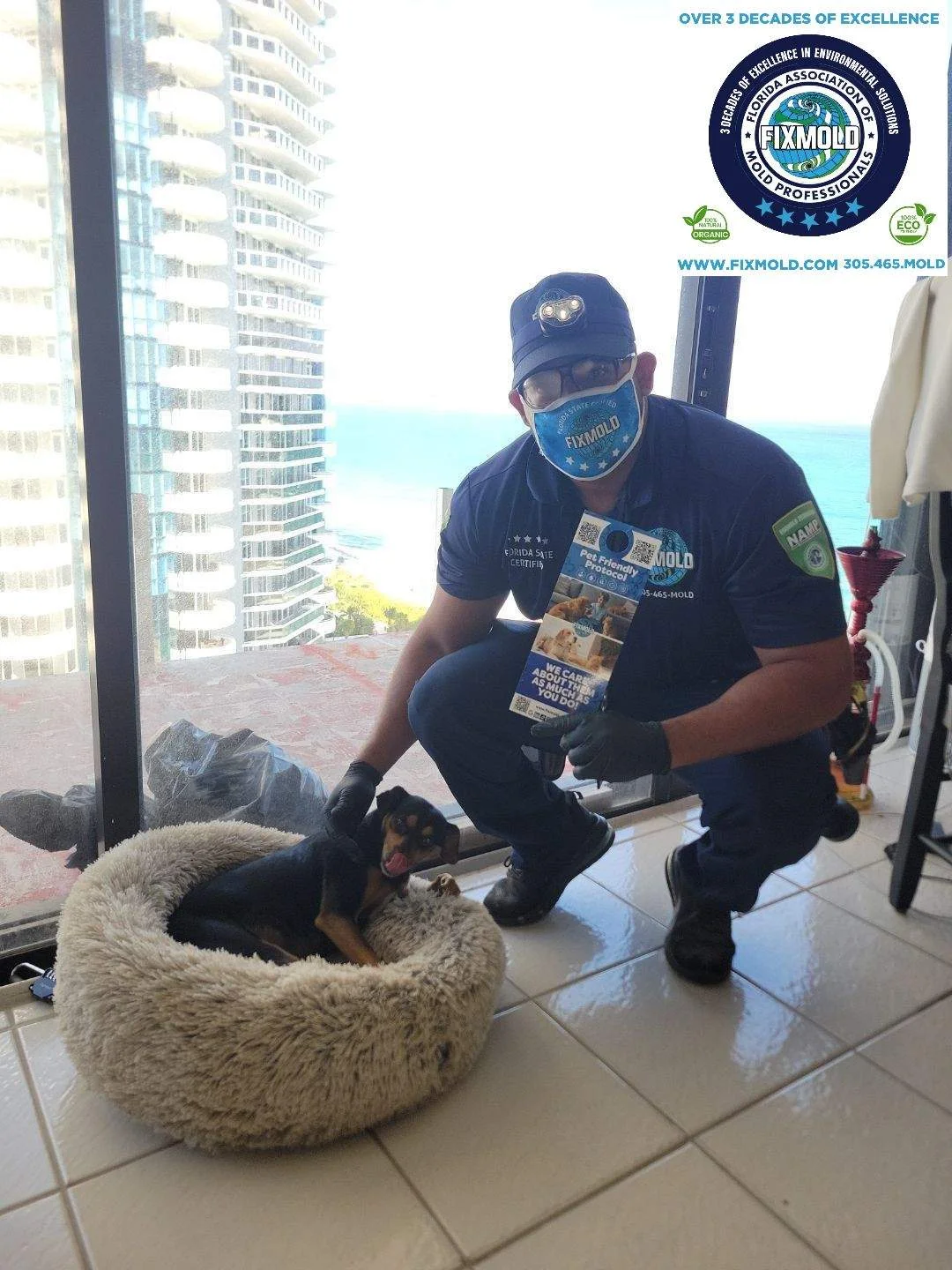 down-net_http20260202-291-wqsmky