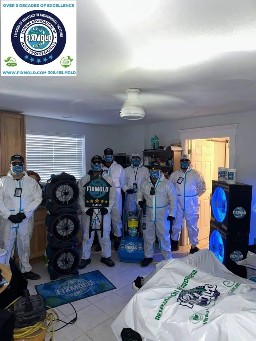 down-net_http20260207-133-e17ymd-840x1120