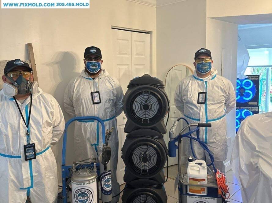 Fixmold work in progress