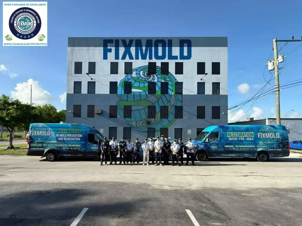 MIAMI MOLD SPECIALIST