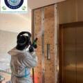 Post-Remodel Disinfection and Sanitization: How FixMold Restores Safe and Healthy Spaces