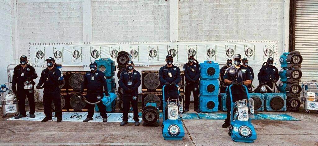 miami mold specialist