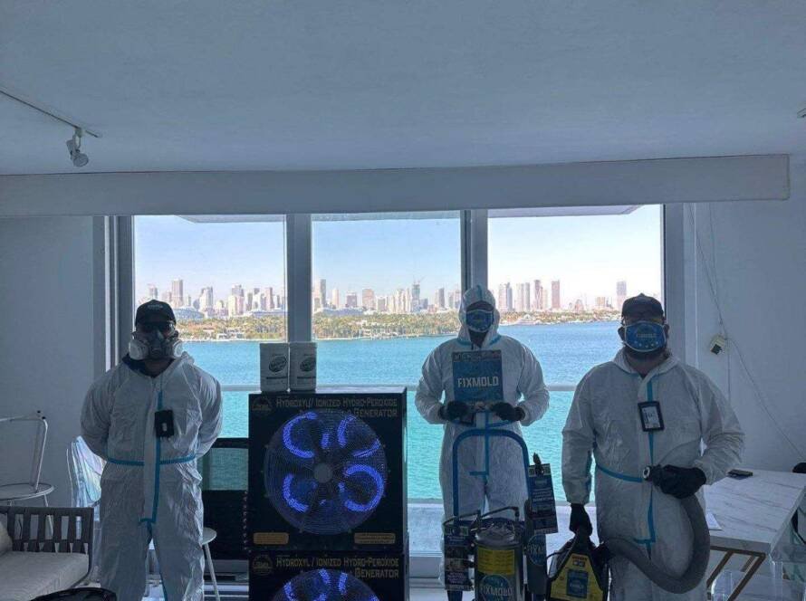 North Miami Mold remediation