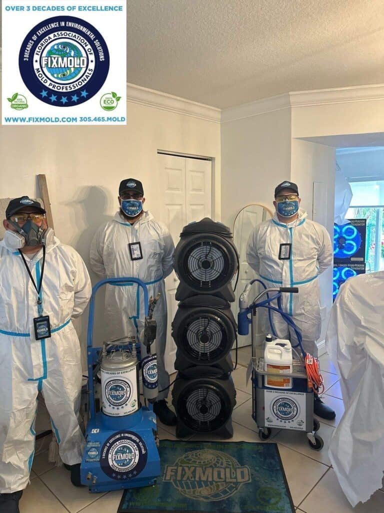 Mold Company in Broward County