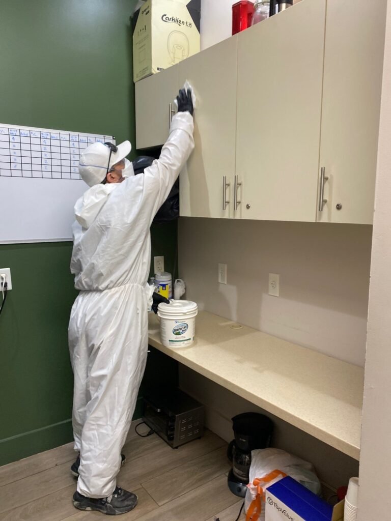 miami mold specialist
