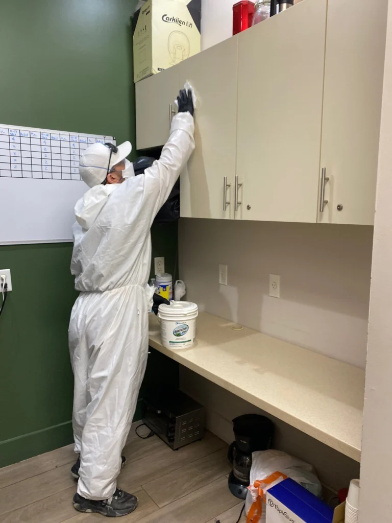 miami mold specialist