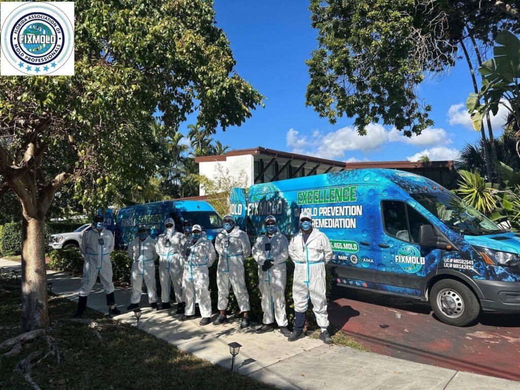 Miami Mold Specialist