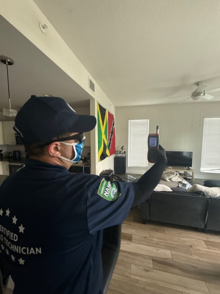 miami mold specialist