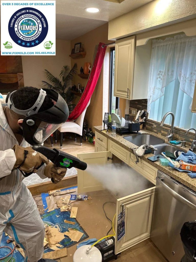 mold remediation by Fixmold