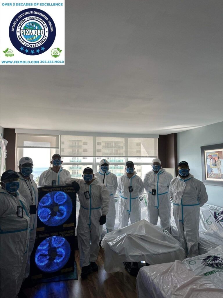 Miami mold specialist