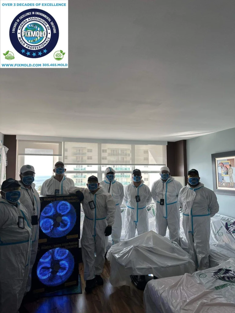 Miami mold specialist
