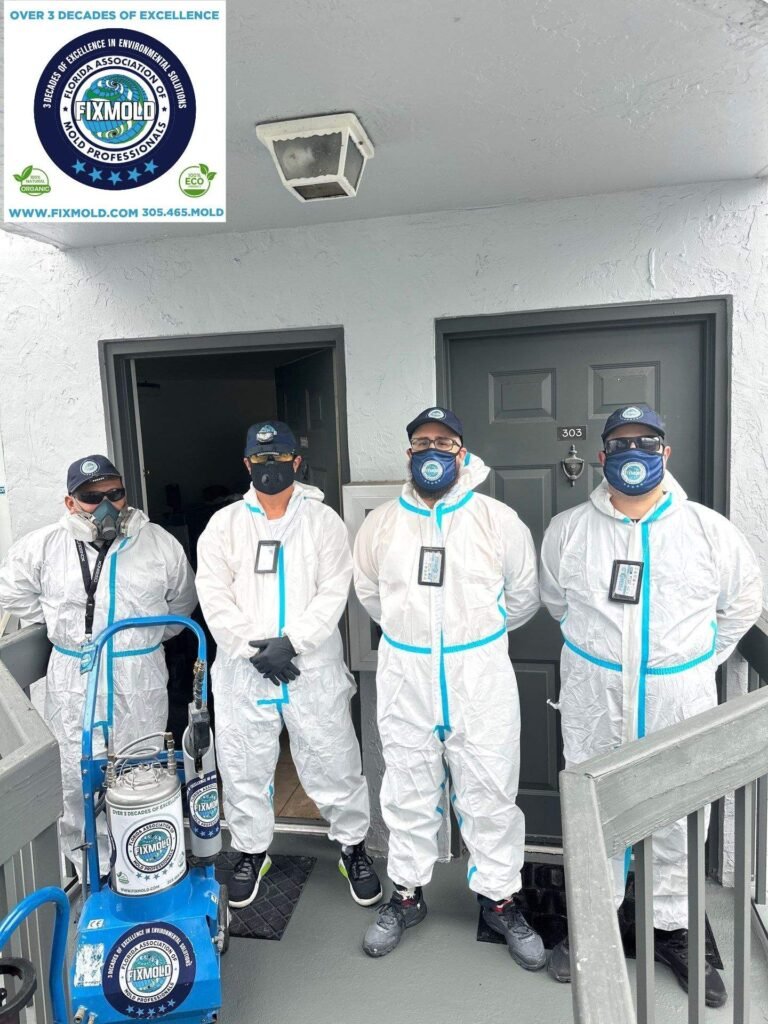 Miami Mold Specialist