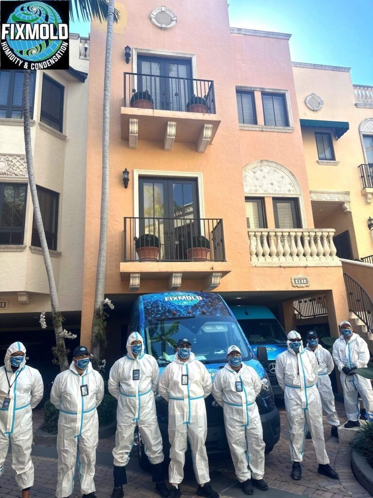 Miami Mold Specialist