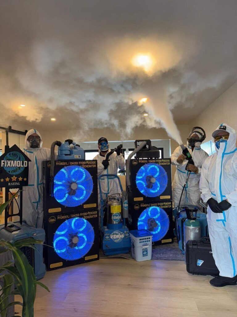 Miami Mold Specialist
