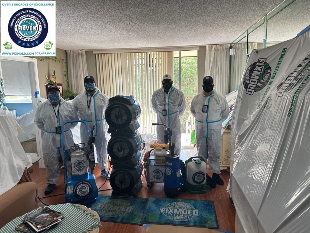 Miami Mold Specialist