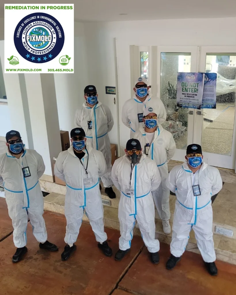 Fixmold team