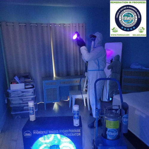 Miami Mold Specialist