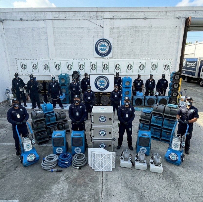 Miami Mold Specialist