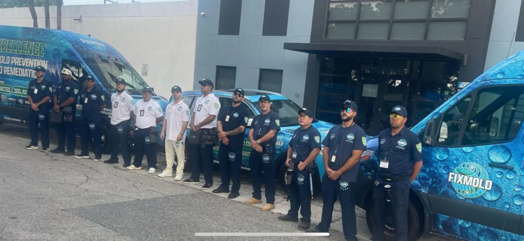 Fixmold team