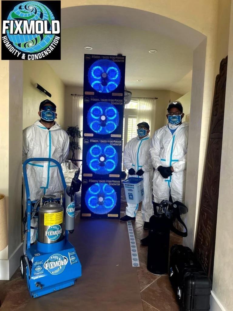 Fixmold team