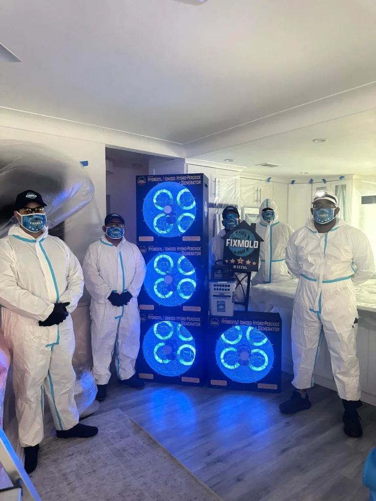 Fixmold miami