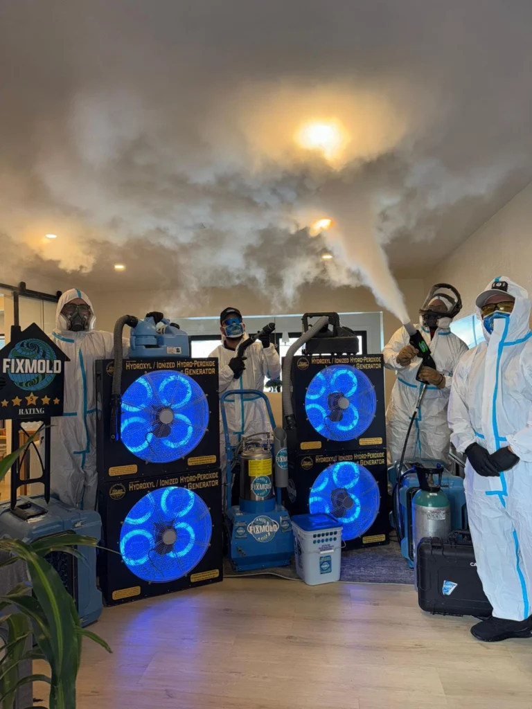 Fixmold miami