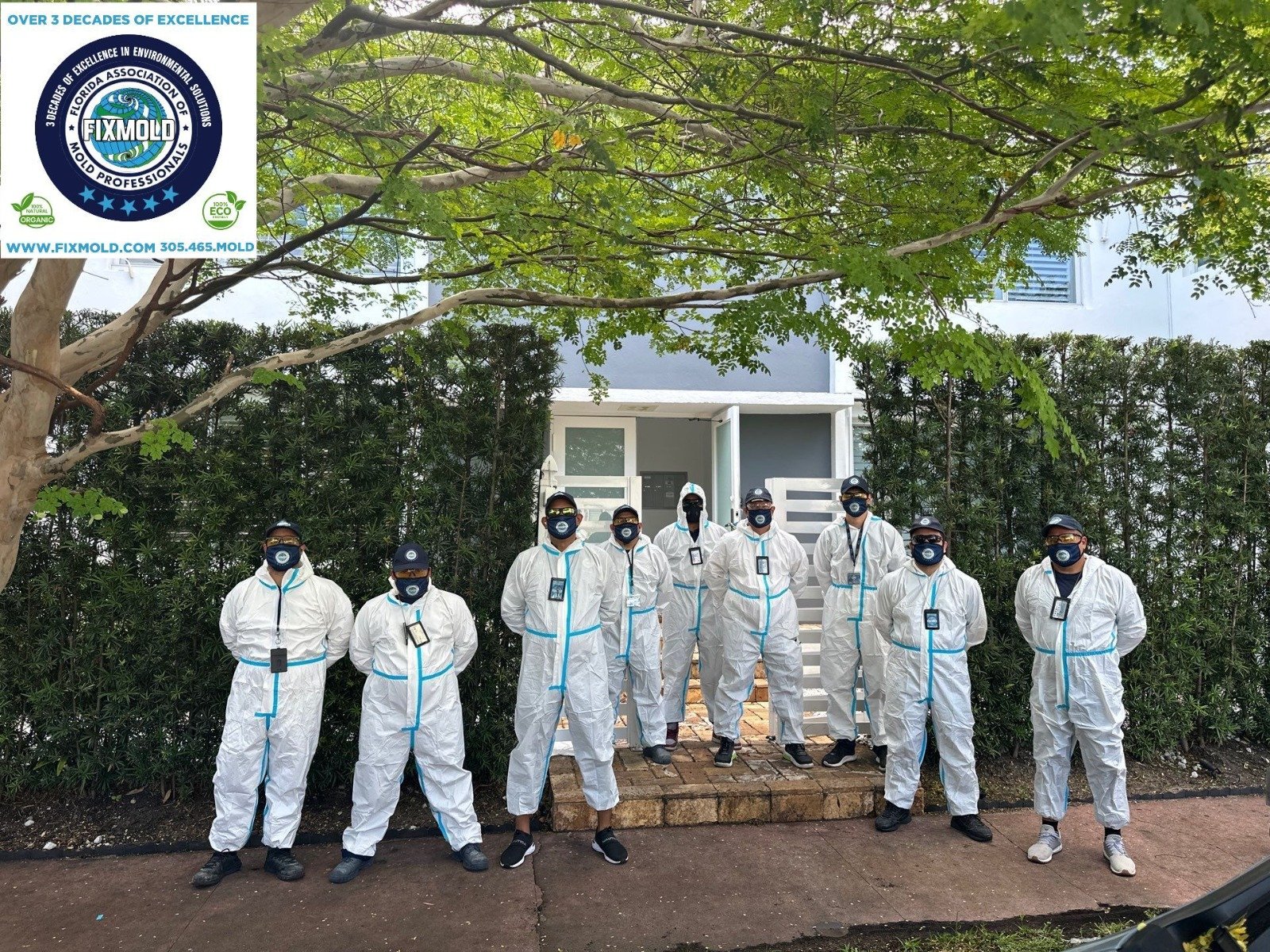 Why Choosing FixMold Matters for a Healthier, Safer Property