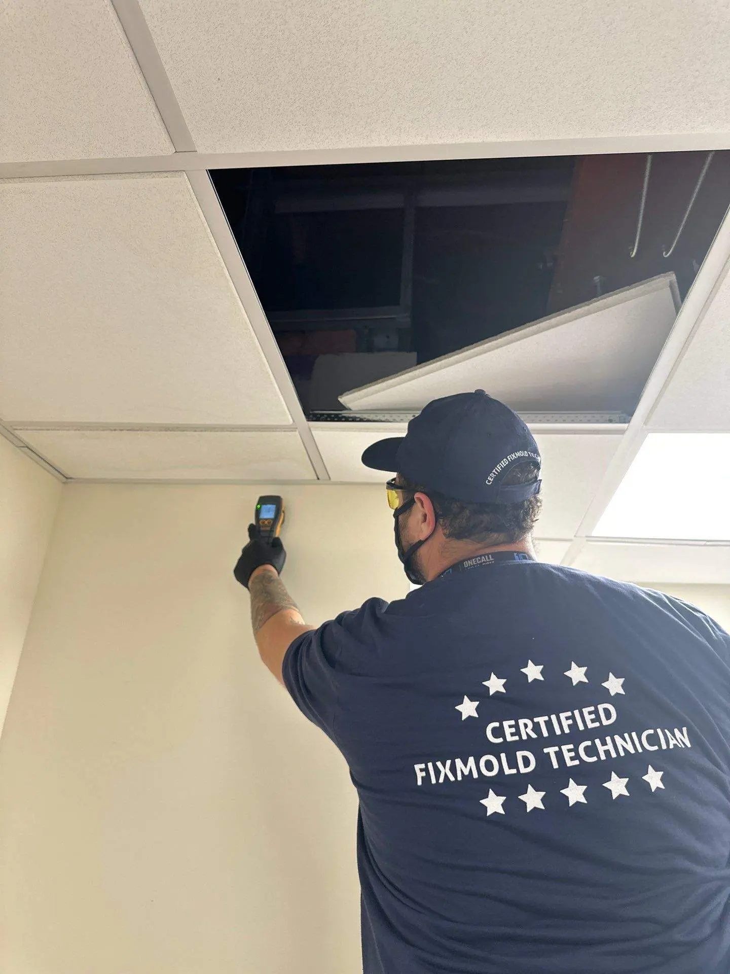 mold testing by Fixmold