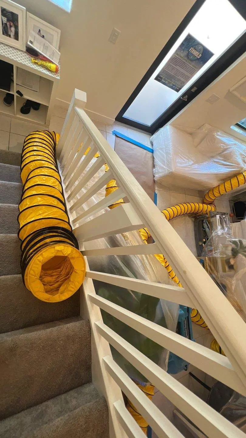 Home mold remediation and drying equipment used to prevent moisture damage and mold growth