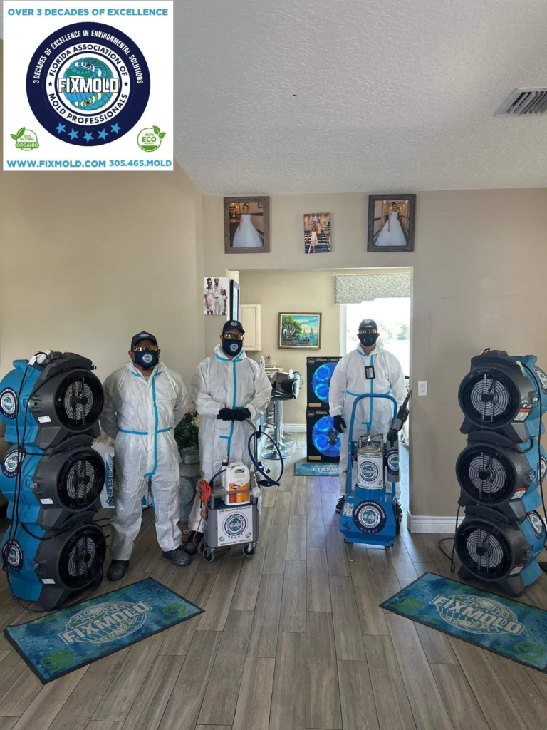 Fixmold Team