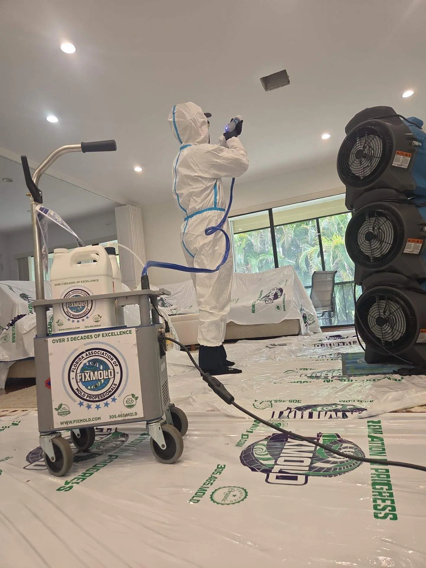 Mold remediation