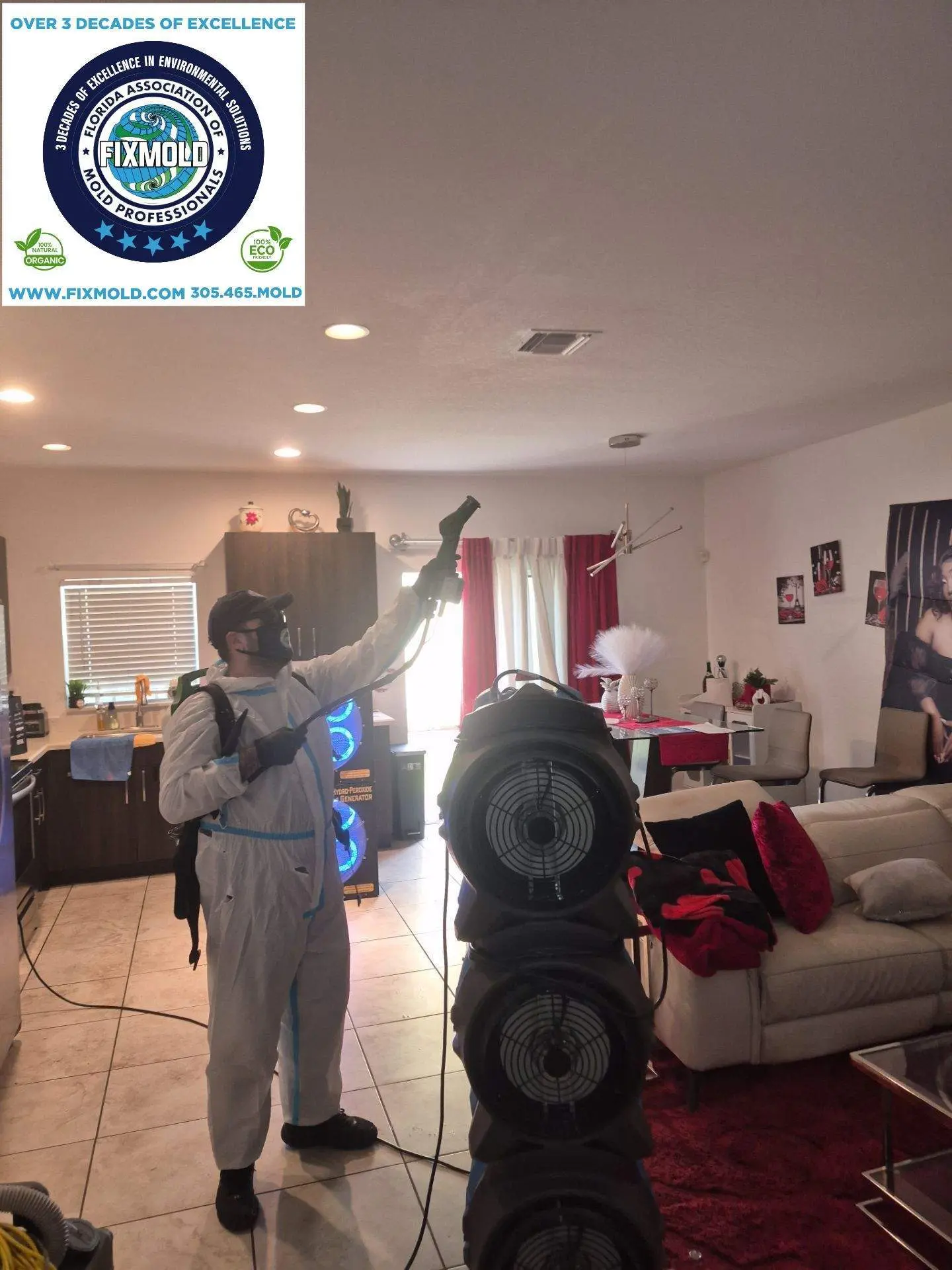 Mold Remediation by Fixmold